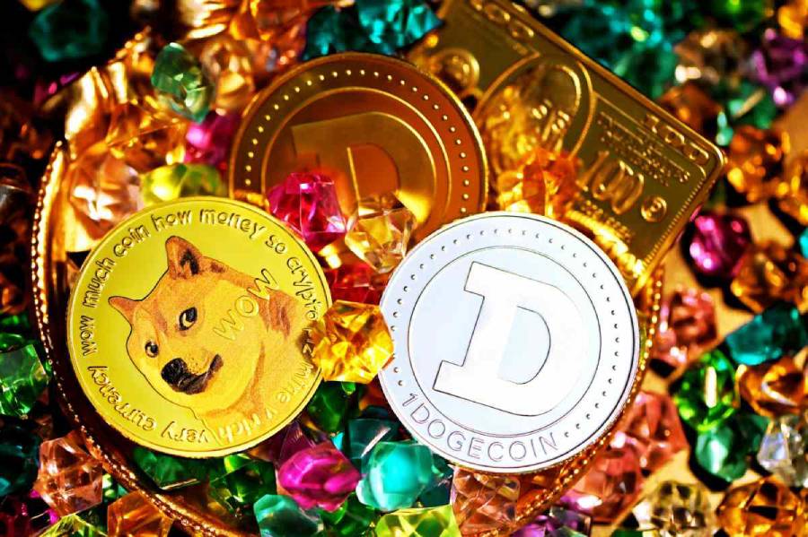 Paso 1: Elige algunos de los casinos que acepte Dogecoin en España